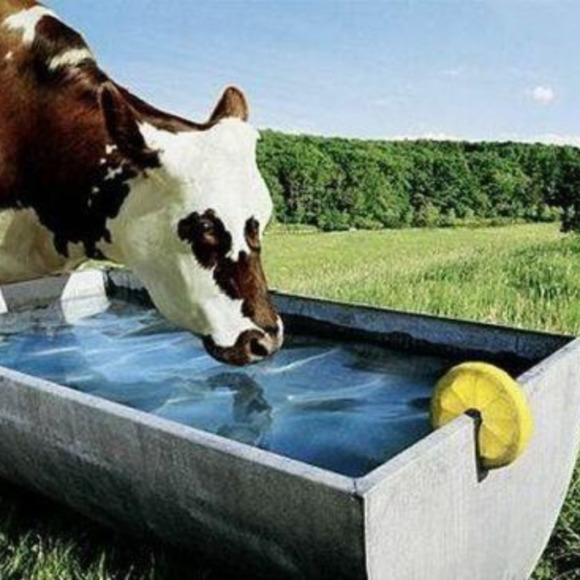 Meet your Posher, Francis - Picture 1 of 1